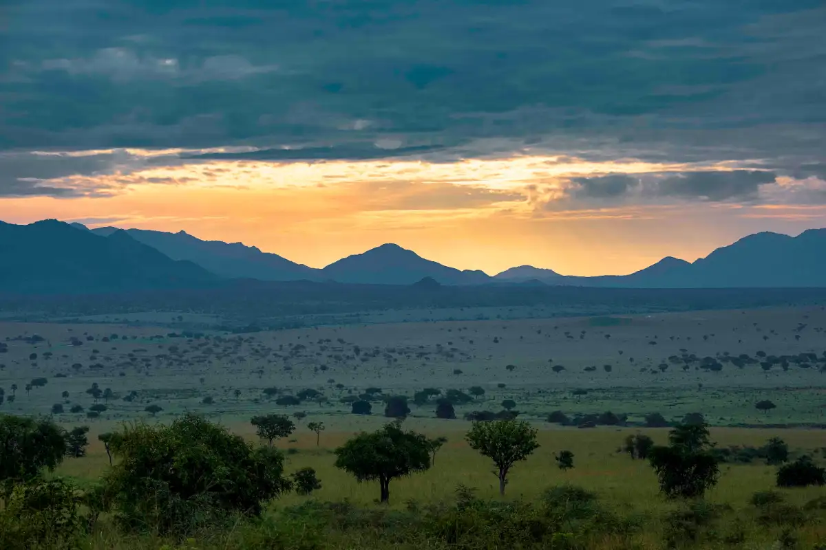 18 Days Safari Exploring Almost All Uganda National Parks
